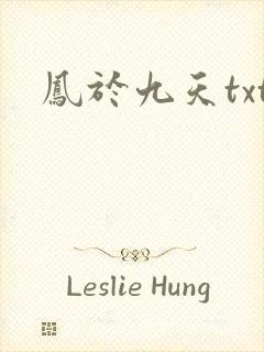 凤于九天txt封面
