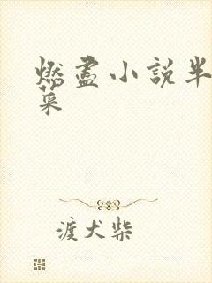 燃尽小说半截白菜