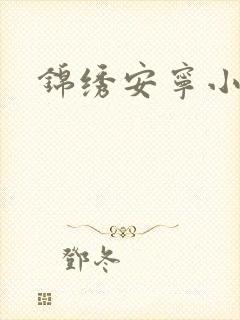 锦绣安宁小说