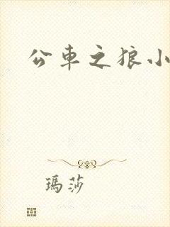 公车之狼小说