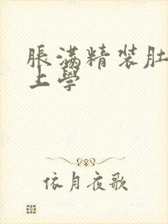 胀满精装肚子去上学封面