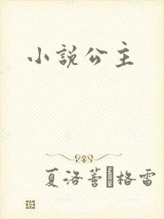 小说公主封面