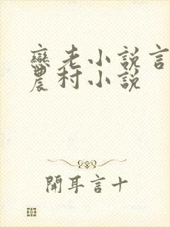 恋老小说言情网农村小说封面