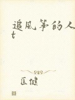 追风筝的人txt封面