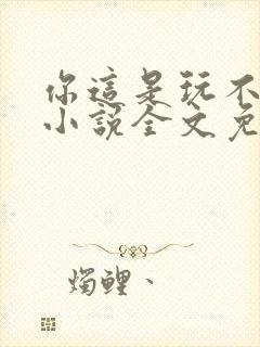 你这是玩不起呀小说全文免费阅读封面