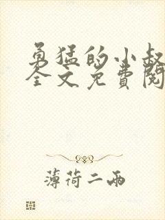 勇猛的小叔小说全文免费阅读