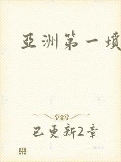 亚洲第一坟封面