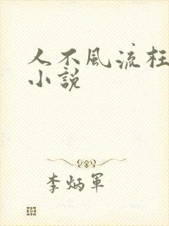 人不风流枉少年小说