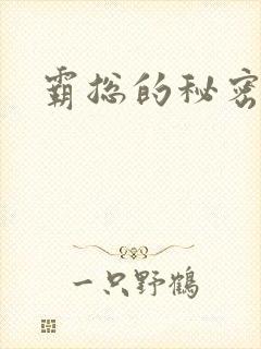 霸总的秘密教学封面