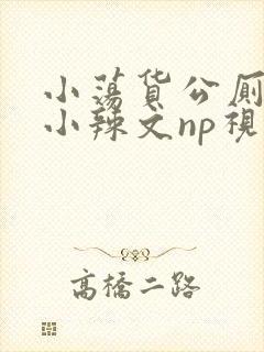 小荡货公厕h文小辣文np视频