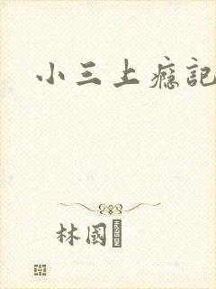 小三上瘾记