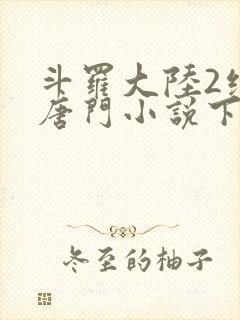 斗罗大陆2绝世唐门小说下载