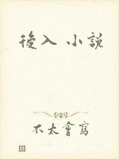 后入 小说