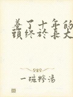 养了十年的小丫头终于长大了