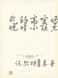 我的高官妈妈苏晚晴小说免费阅读