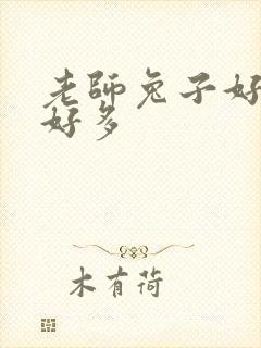 老师兔子好软水好多