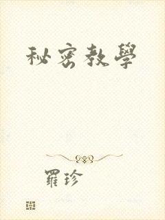 秘密教学