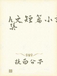h文短篇小说合集封面