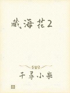藏海花2