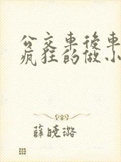 公交车后车座的疯狂的做小封面