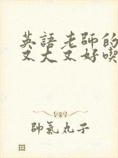 英语老师的那儿又大又好吃封面