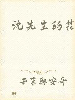 沈先生的花式封面