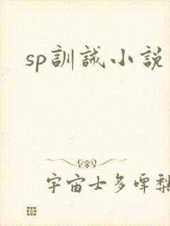 sp训诫小说