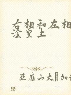 右相和左相一起淦皇上