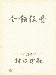 全蚀狂爱封面