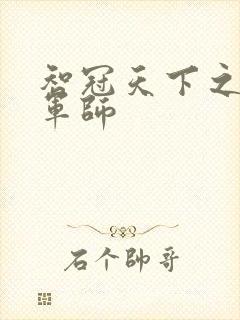 智冠天下之风流军师封面