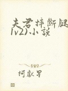 夫君摔断腿后(1v2)小说