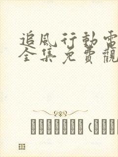 追风行动电视剧全集免费观看