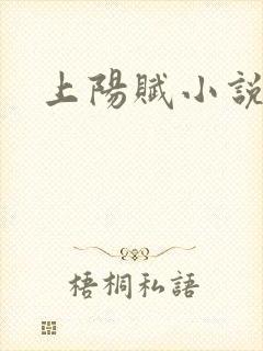 上阳赋小说封面