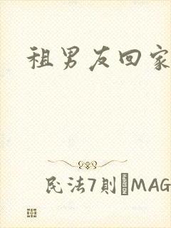 租男友回家过年封面