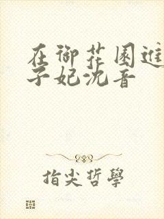 在御花园进入太子妃沈音