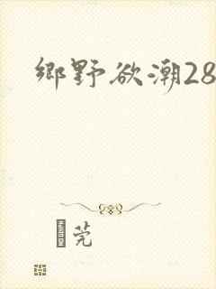乡野欲潮28章