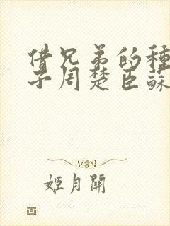 借兄弟的种生孩子周楚臣苏糖