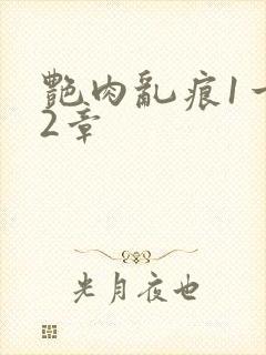 艳肉乱痕1一12章封面