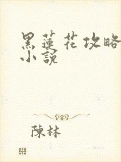 黑莲花攻略手册小说