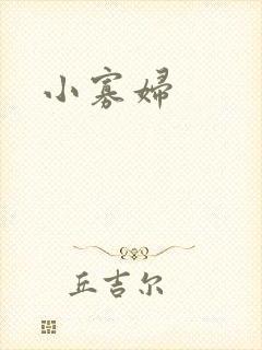 小寡妇封面