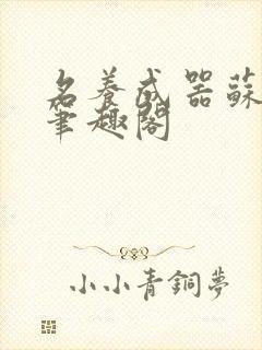 名养成器苏沫沫笔趣阁封面