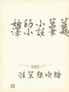 她的小草莓魏承泽小说笔趣阁封面