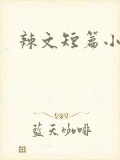 辣文短篇小说封面