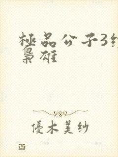 极品公子3续世枭雄