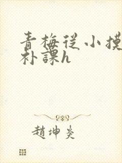 青梅从小摸到大补课h