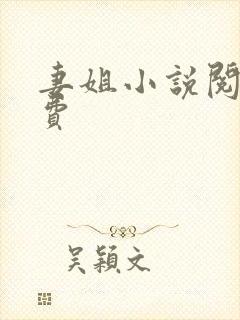 妻姐小说阅读免费封面