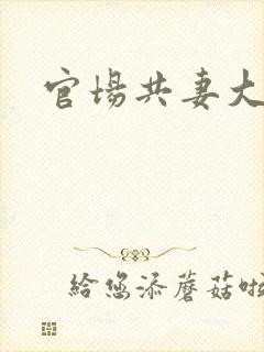 官场共妻大交换