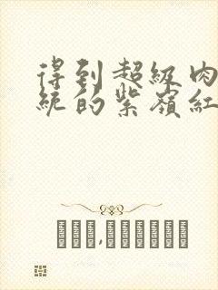 得到超级肉禽系统的紫岭红山