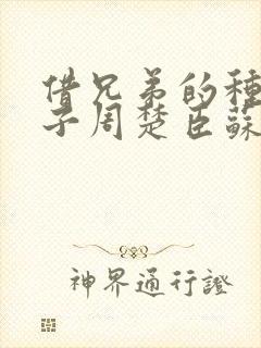 借兄弟的种生孩子周楚臣苏糖