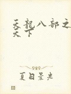 天龙八部之猎美天下